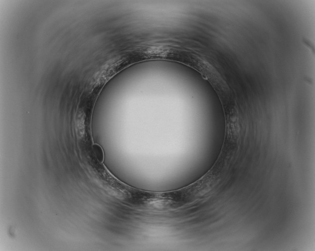 X0000102870504200808251244