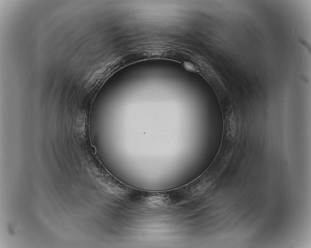 X0000102870505200808251244