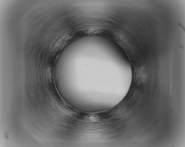 X0000102870506200808251244