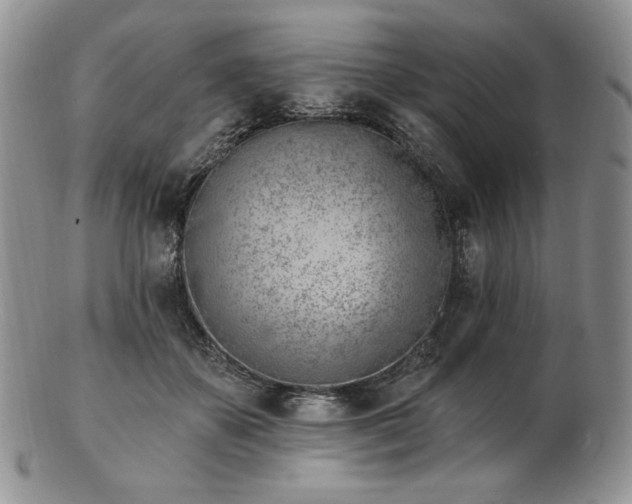 X0000102870507200808251244