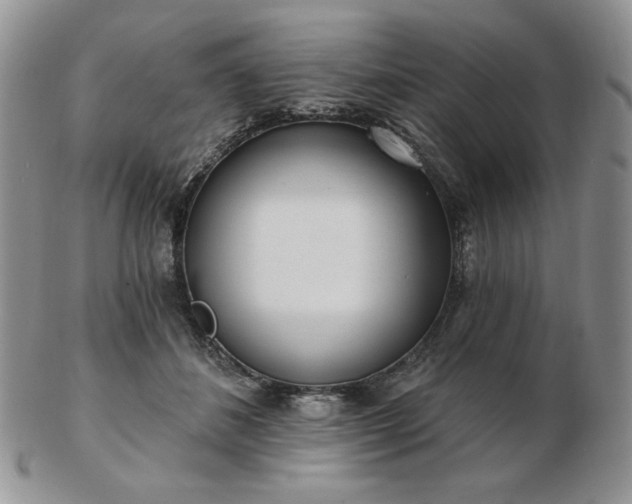 X0000102870508200808251244