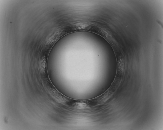 X0000102870509200808251244