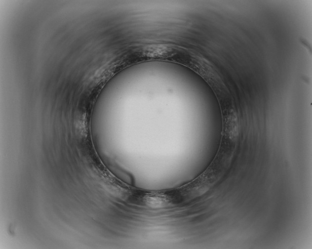 X0000102870510200808251244