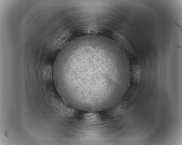 X0000102870511200808251244