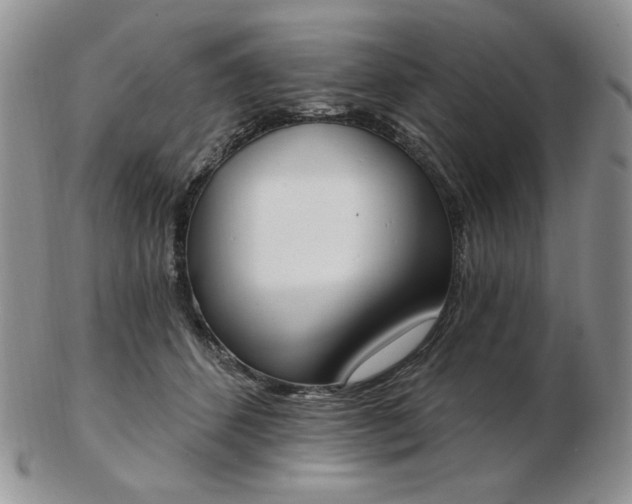 X0000102870512200808251244