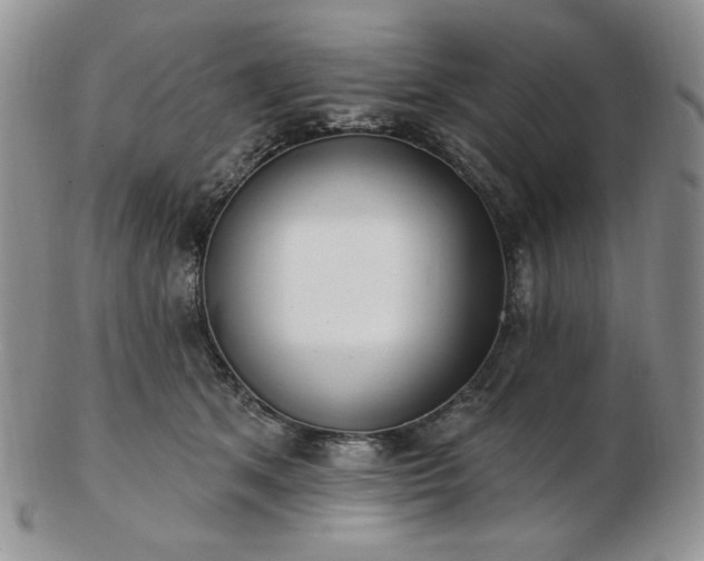 X0000102870513200808251244