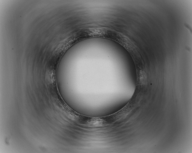 X0000102870514200808251244