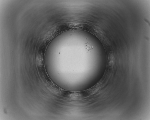 X0000102870515200808251244