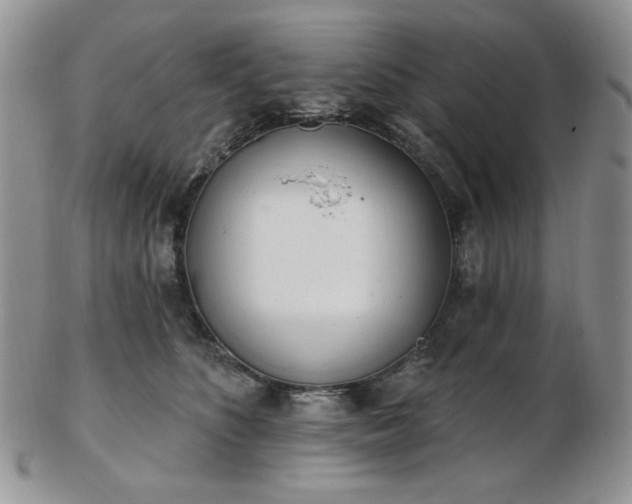 X0000102870516200808251244