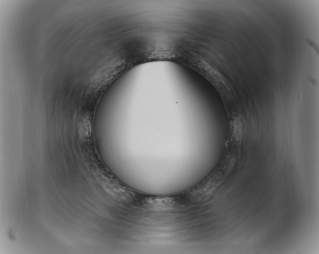 X0000102870517200808251244