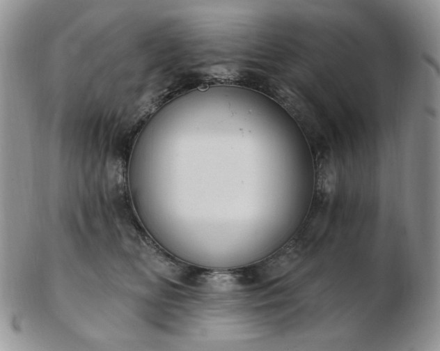 X0000102870518200808251244