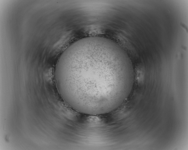 X0000102870519200808251244