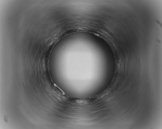 X0000102870520200808251244