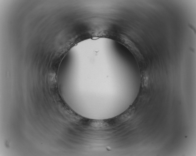 X0000102870521200808251244