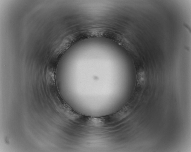 X0000102870522200808251244