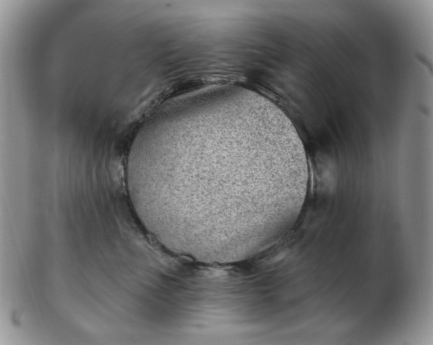 X0000102870523200808251244