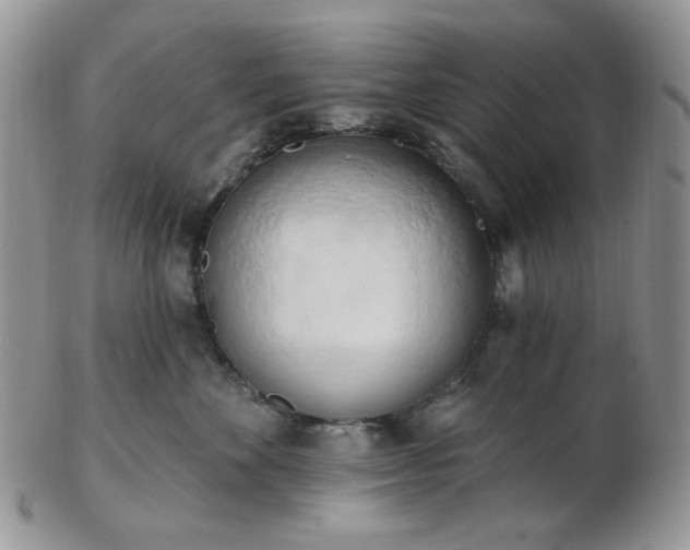 X0000102870524200808251244