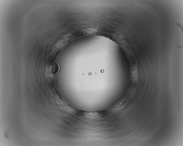 X0000102870525200808251244