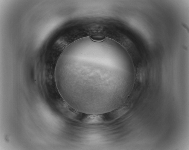 X0000102870526200808251244