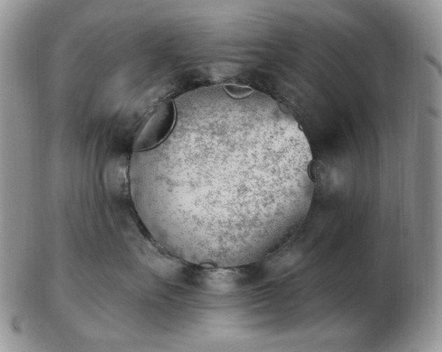 X0000102870527200808251244