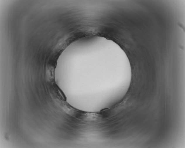 X0000102870528200808251244