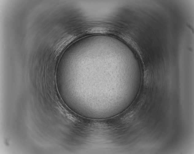 X0000102870529200808251243