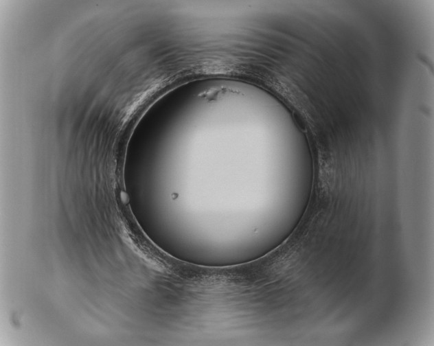 X0000102870530200808251243