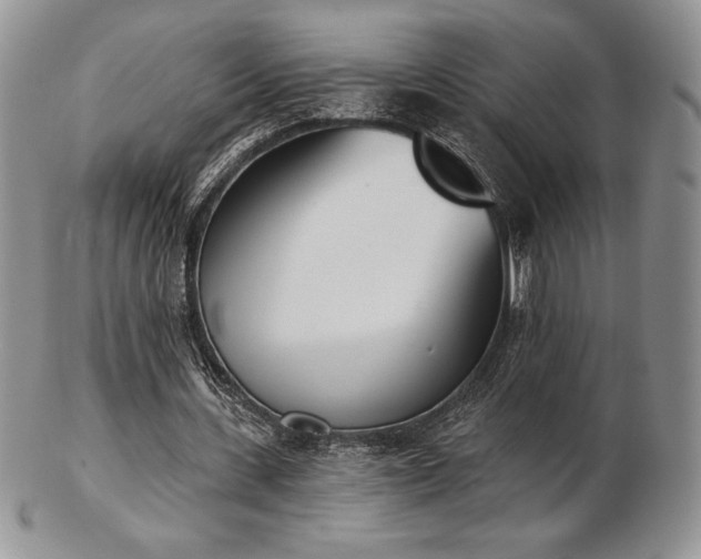 X0000102870531200808251243