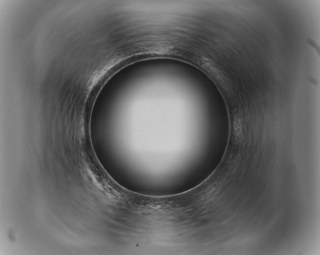 X0000102870532200808251243