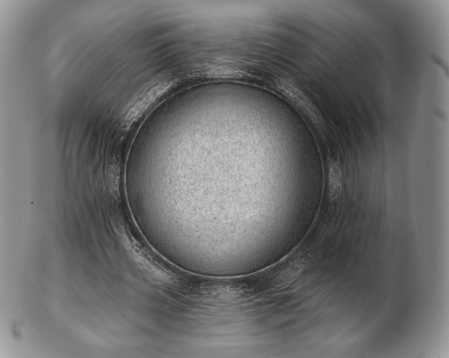 X0000102870533200808251243