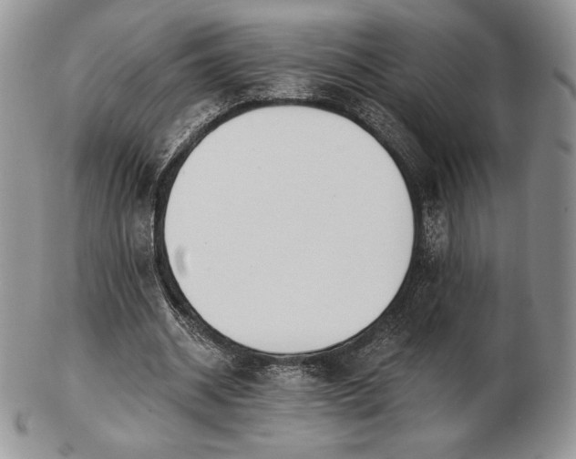 X0000102870534200808251243