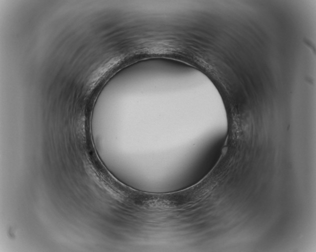 X0000102870535200808251243