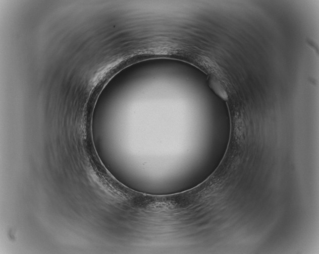 X0000102870536200808251243