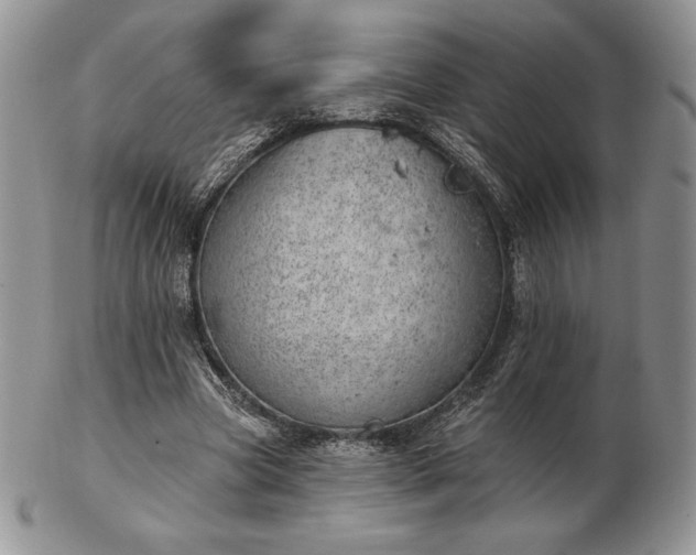 X0000102870537200808251243