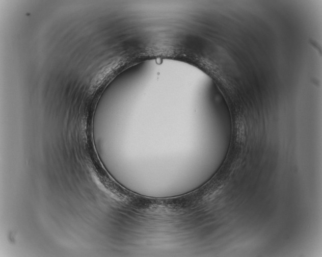 X0000102870538200808251243