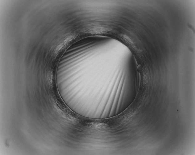 X0000102870539200808251243