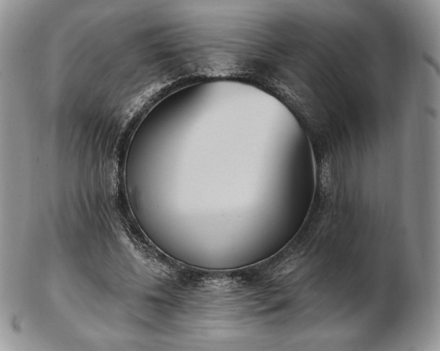 X0000102870540200808251243