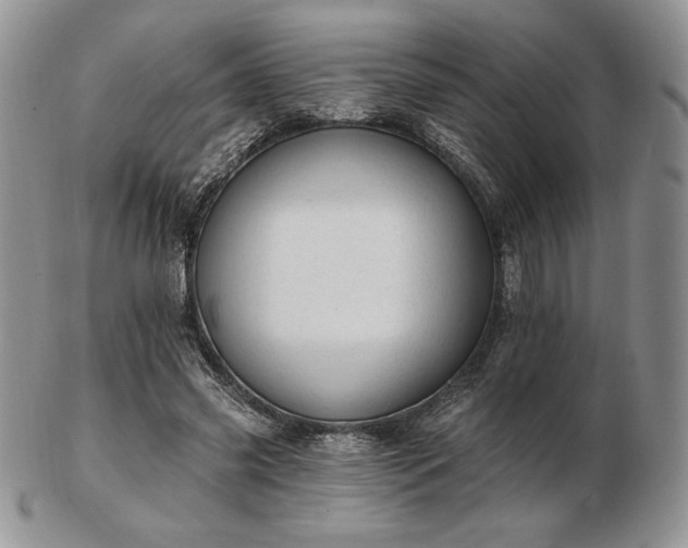 X0000102870541200808251243