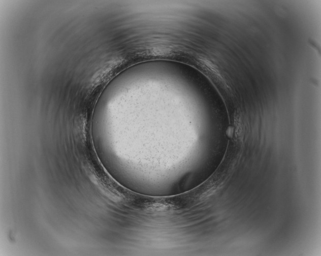 X0000102870542200808251243