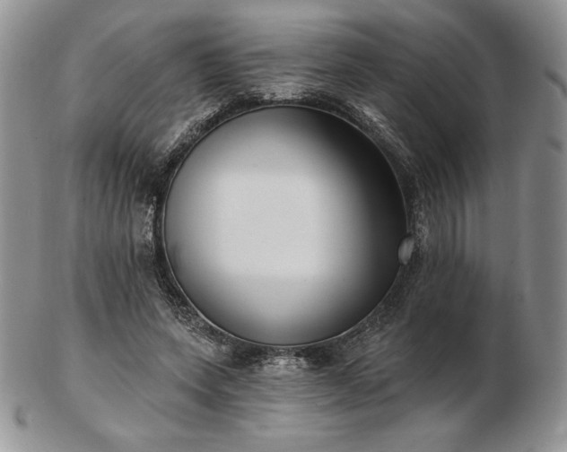 X0000102870543200808251243