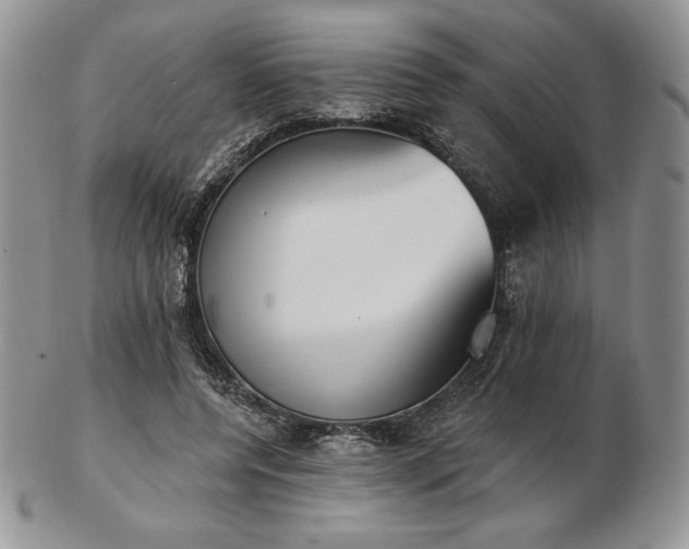 X0000102870544200808251243