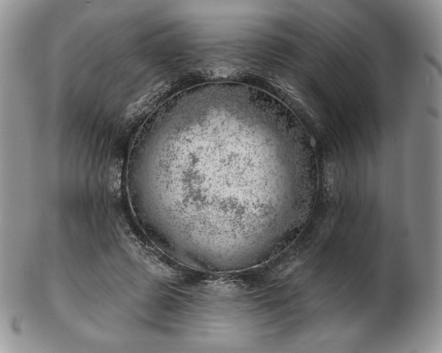 X0000102870545200808251243