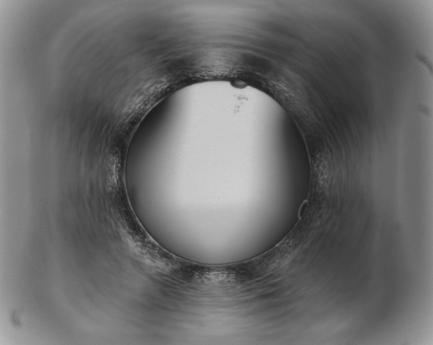 X0000102870546200808251243