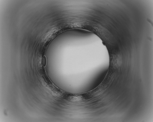 X0000102870548200808251243