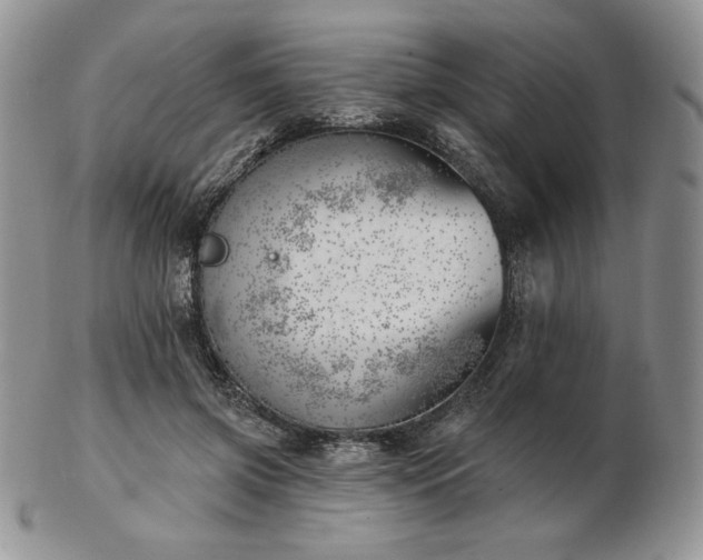 X0000102870549200808251243