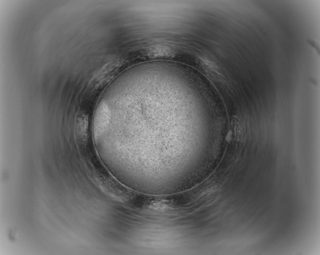 X0000102870550200808251243