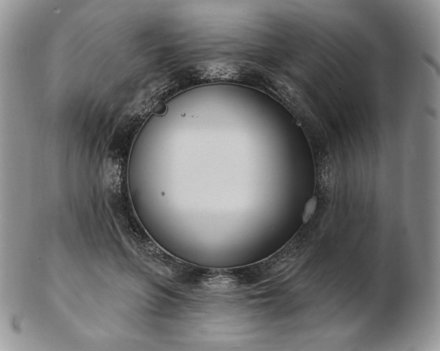 X0000102870551200808251244