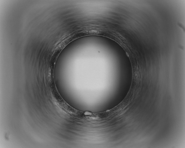 X0000102870552200808251244