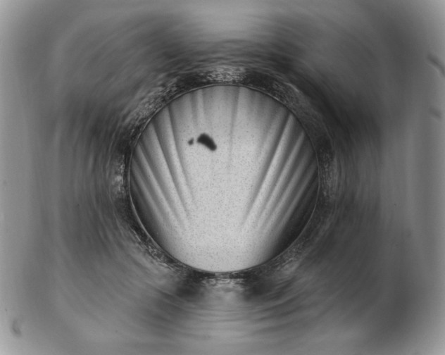 X0000102870553200808251244