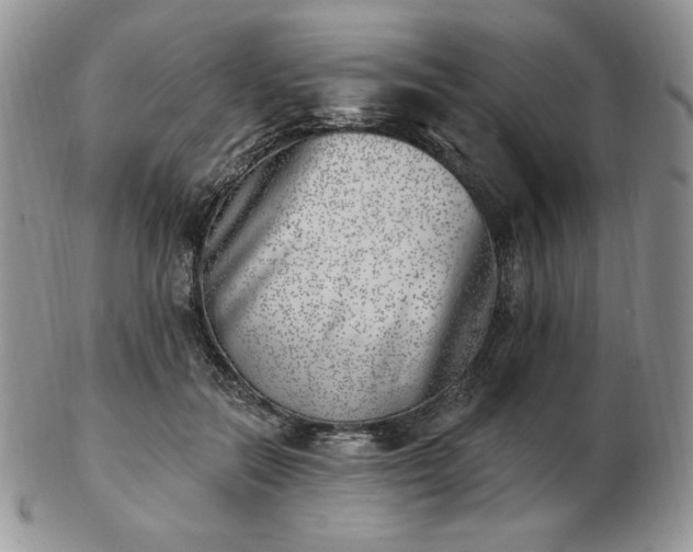 X0000102870554200808251244